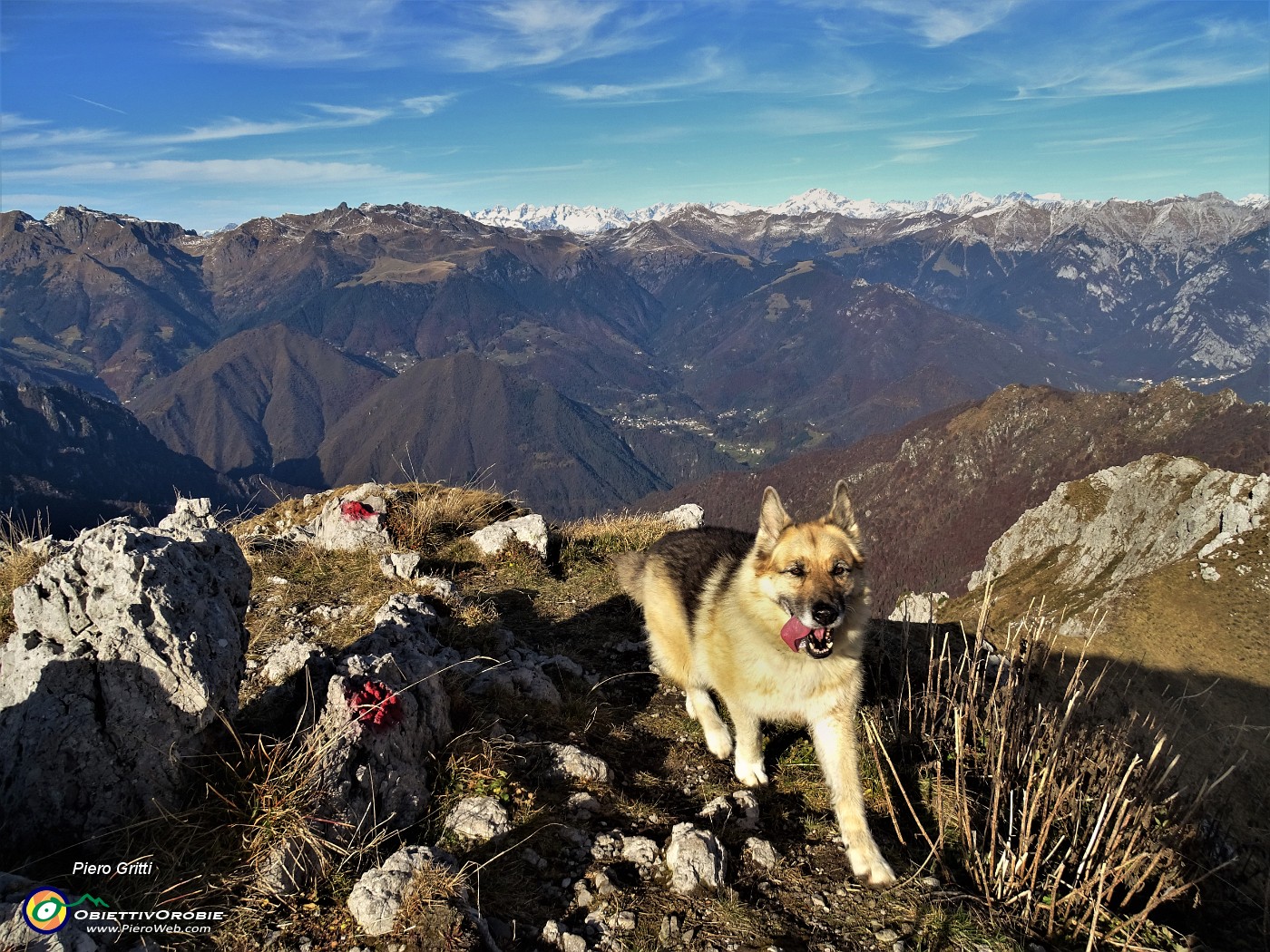 74 Dori perlustra la cima del Venturosa.JPG